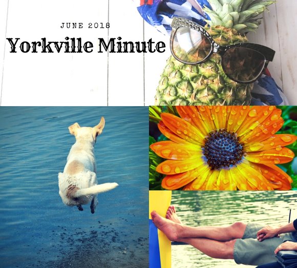 June 1, 2018 Yorkville Minute