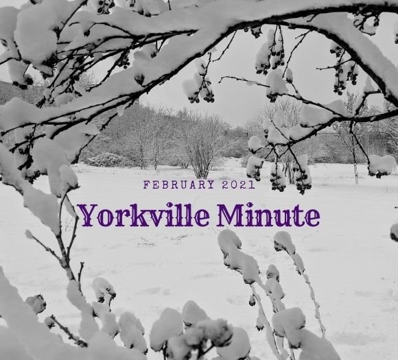 The Yorkville Minute - February 16, 2021 Edition