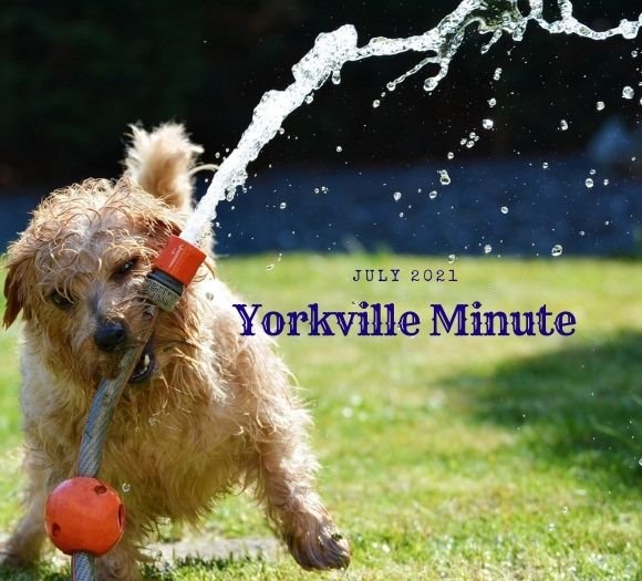 The Yorkville Minute - July 1, 2021 Edition