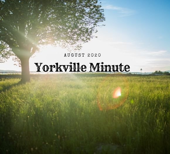 Yorkville Minute Newsletter - August 3, 2020