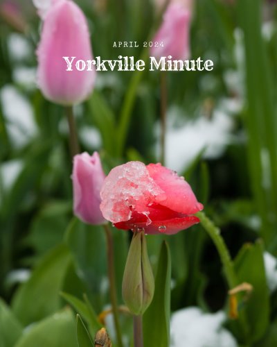 The Yorkville Minute Newsletter - April 1, 2024 Edition