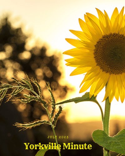 The Yorkville Minute Newsletter - July 17, 2023 Edition