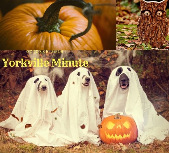 Yorkville Minute Newsletter October 15, 2018