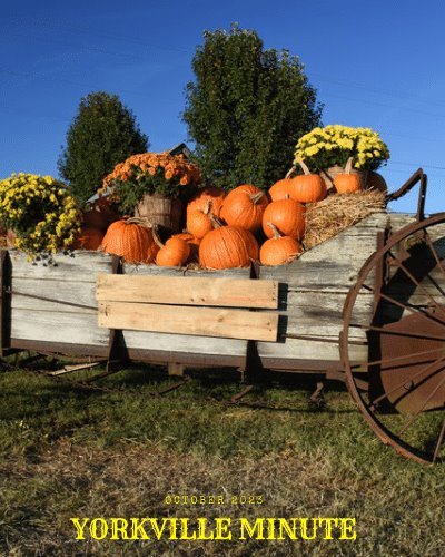 The Yorkville Minute Newsletter - October 2, 2023 Edition