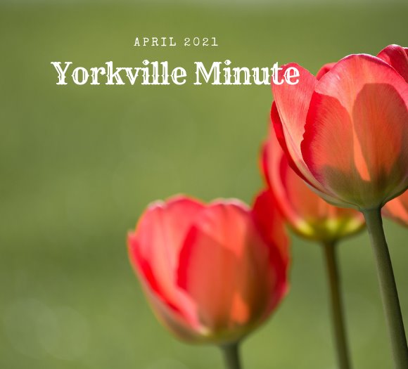 The Yorkville Minute - April 1, 2021 Edition