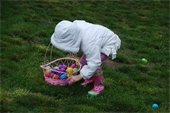 Bunny Breakfast & Egg Hunt Information