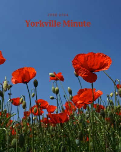 The Yorkville Minute Newsletter - June 1, 2024 Edition