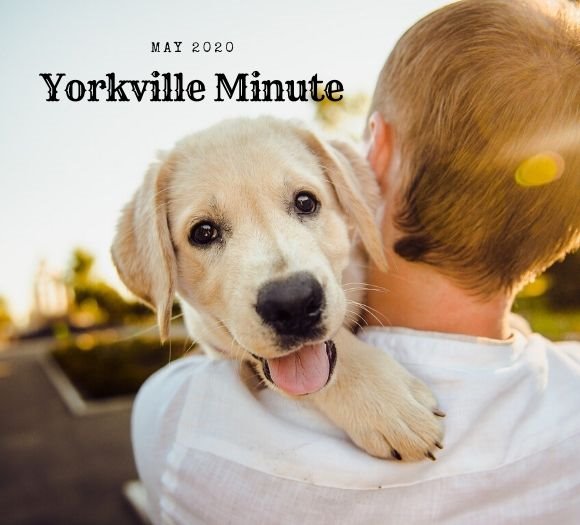 The Yorkville Minute Newsletter, May 1, 2020 Edition