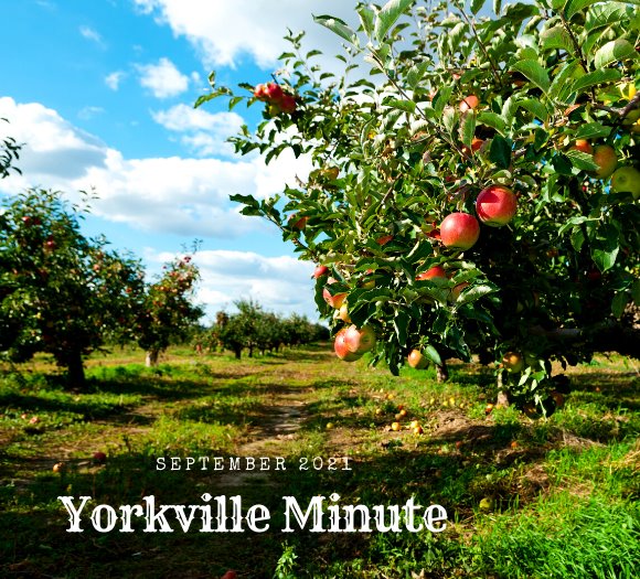 The Yorkville Minute - September 1, 2021 Edition