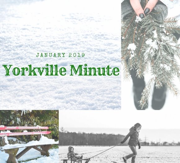 January 15, 2019 Yorkville Minute Newsletter