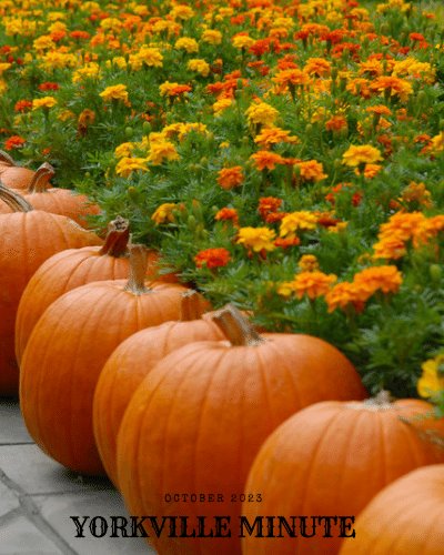 The Yorkville Minute Newsletter - October 16, 2023 Edition