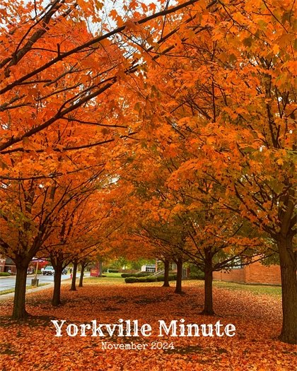 The Yorkville Minute Newsletter - November 1, 2024 Edition