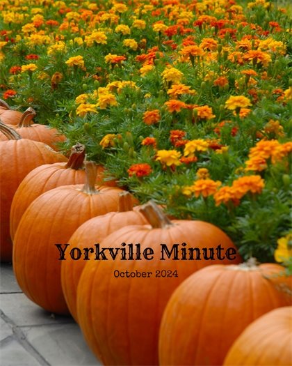 The Yorkville Minute Newsletter - October 1, 2024 Edition