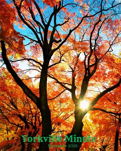 The Yorkville Minute Newsletter - November 15, 2025 Edition