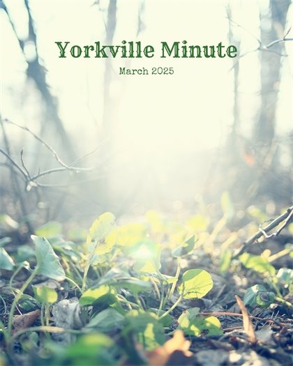 The Yorkville Minute Newsletter - March 15, 2025 Edition
