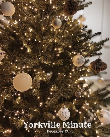 The Yorkville Minute Newsletter - December 1, 2025 Edition