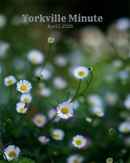 The Yorkville Minute Newsletter -April 15, 2025 Edition