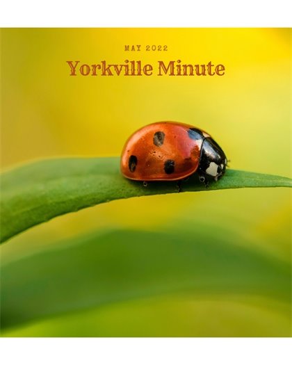 The Yorkville Minute - May 16, 2022 Edition