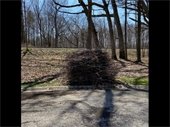 Brush Pick-Up – The week of June 26th!
