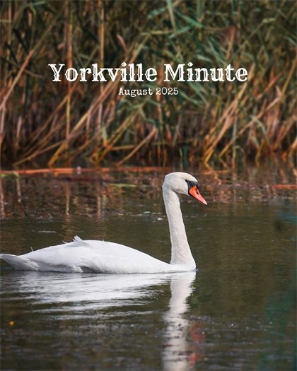 The Yorkville Minute Newsletter -August 1, 2025 Edition