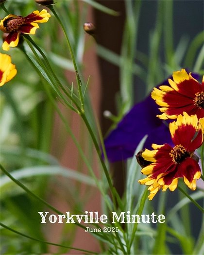 The Yorkville Minute Newsletter June 15, 2025 Edition