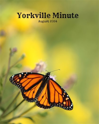 The Yorkville Minute Newsletter - August 15, 2024 Edition
