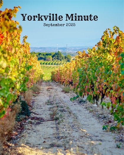 The Yorkville Minute Newsletter - September 15, 2025 Edition