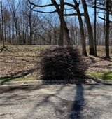 Brush Pick-Up August 23rd