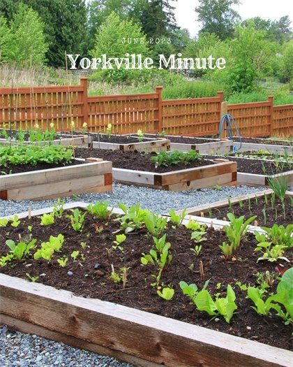 The Yorkville Minute Newsletter - June 1, 2023 Edition