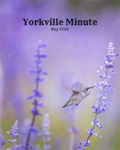 The Yorkville Minute Newsletter - May 1, 2025 Edition