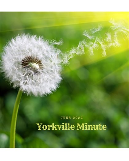 The Yorkville Minute - June 1, 2022 Edition