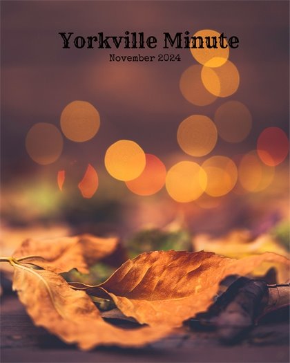 The Yorkville Minute Newsletter - November 15, 2024 Edition