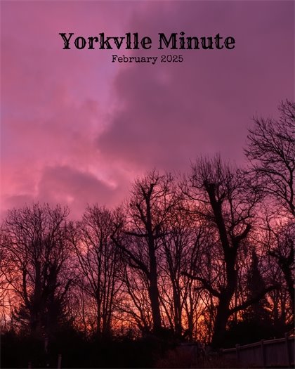 The Yorkville Minute Newsletter - February 15, 2025 Edition