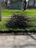 Brush Pick-Up