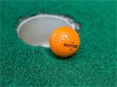 Save the Date!  Yorkville Public Library Mini Golf FUN Raiser!  Sunday, February 2nd from 10 am – 4pm