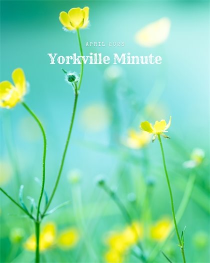 The Yorkville Minute Newsletter - April 17, 2023 Edition