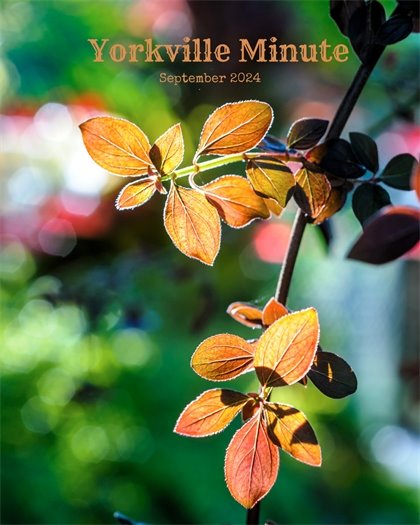 The Yorkville Minute Newsletter - September 16, 2024 Edition