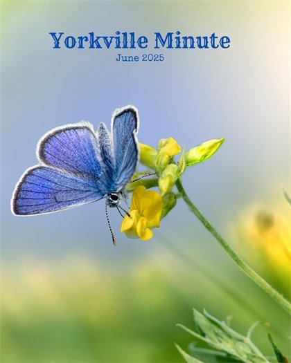 The Yorkville Minute Newsletter - June 1, 2025 Edition