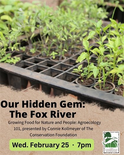 The Fox River: Our Hidden Gem Presentation Series on Wednesday, February 25th at· 7pm at the Yorkville Public Library 