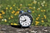 Daylight Savings