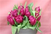 City Offices Closed Friday, April 2nd