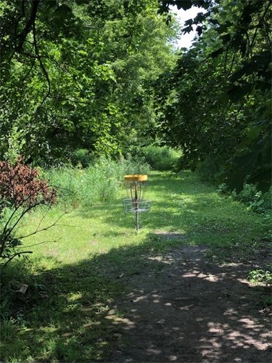 Fox Hill Park Disc Golf