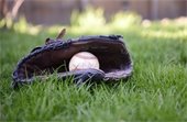 Youth Baseball & Softball Recreation In-House League Registration