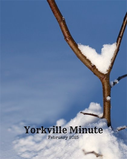 The Yorkville Minute Newsletter -February 1, 2025 Edition