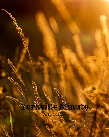 The Yorkville Minute Newsletter - July 15, 2024 Edition