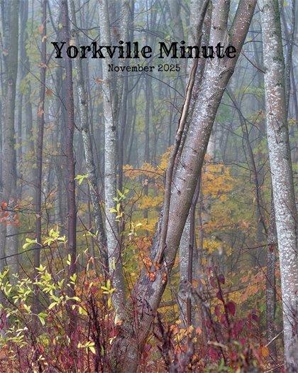 The Yorkville Minute Newsletter - November 1, 2025 Edition