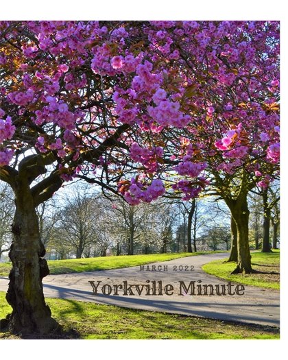 The Yorkville Minute - March 1, 2022 Edition