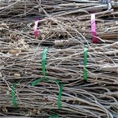 Public Works Brush Pick-Up – April 21st!