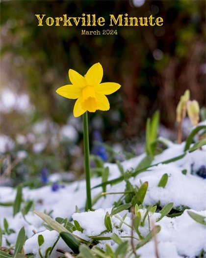 The Yorkville Minute Newsletter - March 1, 2024 Edition