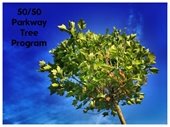 50/50 Parkway Tree Program